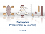 Procurement & Sourcing - 26 diagrams in PDF